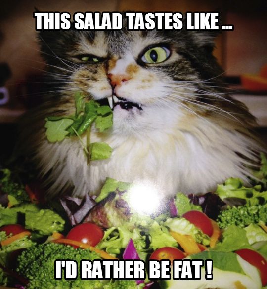 1dcfe6b72eb85a1ce2c3f927be7dd44c